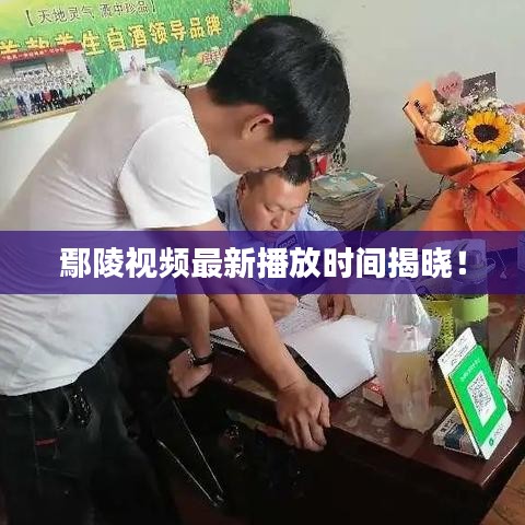 鄢陵視頻最新播放時間揭曉!