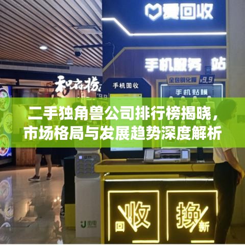 二手獨角獸公司排行榜揭曉，市場格局與發展趨勢深度解析
