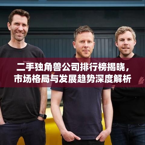二手獨角獸公司排行榜揭曉,市場格局與發展趨勢深度解析