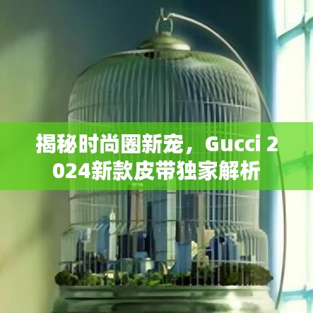 揭秘時(shí)尚圈新寵,Gucci 2024新款皮帶獨(dú)家解析