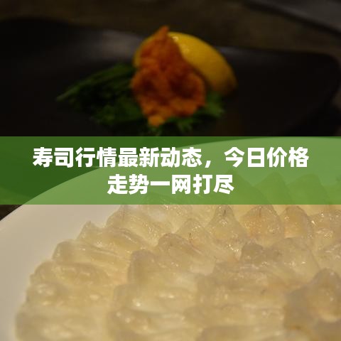 壽司行情最新動態,今日價格走勢一網打盡