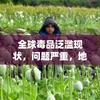 全球毒品泛濫現(xiàn)狀,問題嚴(yán)重,地區(qū)排名與治理挑戰(zhàn)
