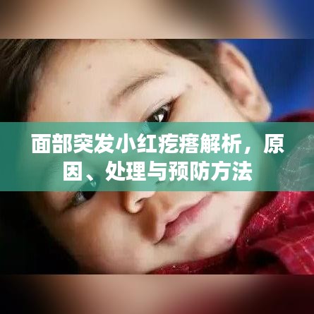 面部突發(fā)小紅疙瘩解析,原因、處理與預(yù)防方法