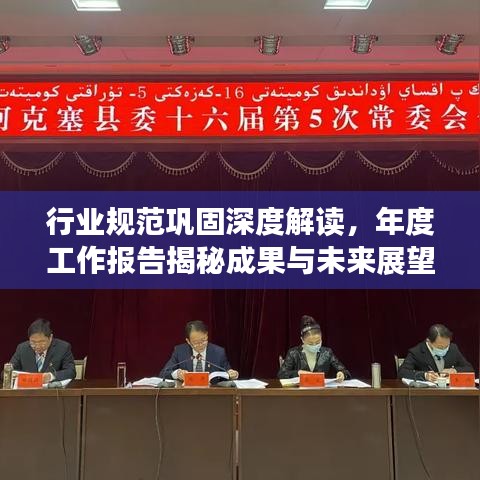行業規范鞏固深度解讀,年度工作報告揭秘成果與未來展望