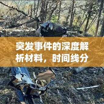突發(fā)事件的深度解析材料,時間線分析揭秘事件真相