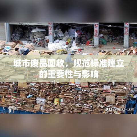 城市廢品回收,規(guī)范標準建立的重要性與影響