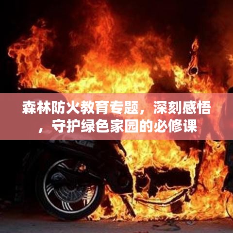 森林防火教育專題,深刻感悟,守護綠色家園的必修課