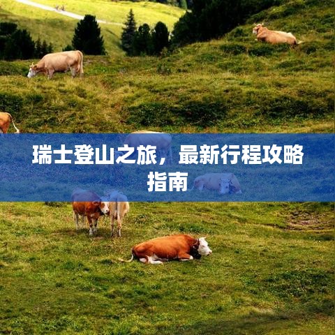 瑞士登山之旅,最新行程攻略指南