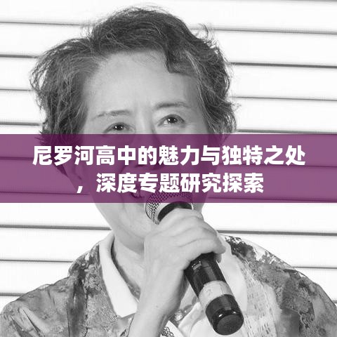 尼羅河高中的魅力與獨(dú)特之處,深度專題研究探索