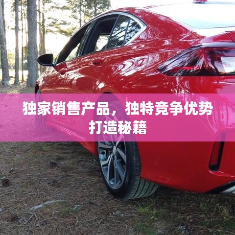獨家銷售產品,獨特競爭優勢打造秘籍