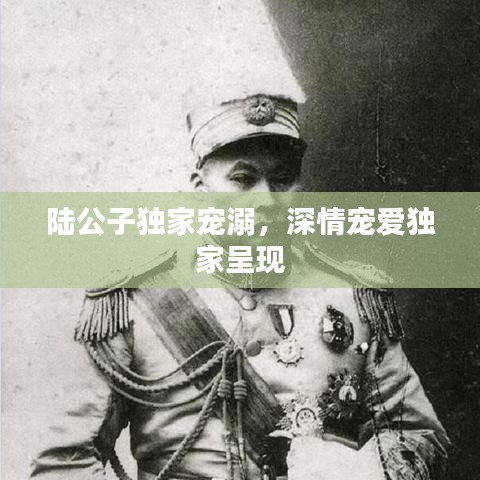 陸公子獨(dú)家寵溺,深情寵愛(ài)獨(dú)家呈現(xiàn)