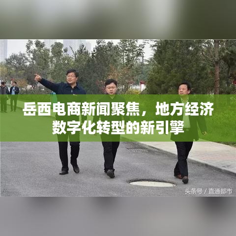 岳西電商新聞聚焦,地方經濟數字化轉型的新引擎