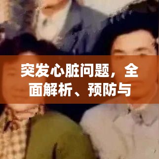 突發(fā)心臟問(wèn)題,全面解析、預(yù)防與應(yīng)急處理方案