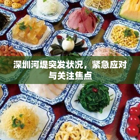 深圳河堤突發(fā)狀況,緊急應對與關注焦點