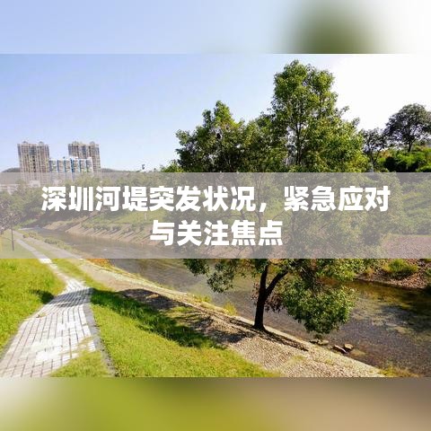 深圳河堤突發(fā)狀況,緊急應對與關注焦點
