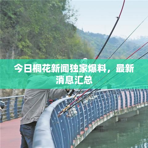 今日桐花新聞獨家爆料,最新消息匯總