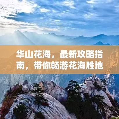 華山花海,最新攻略指南,帶你暢游花海勝地!