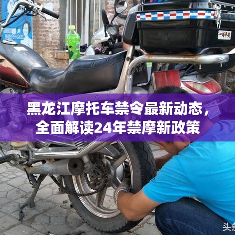 黑龍江摩托車禁令最新動態,全面解讀24年禁摩新政策