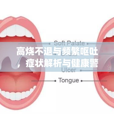 高燒不退與頻繁嘔吐,癥狀解析與健康警示