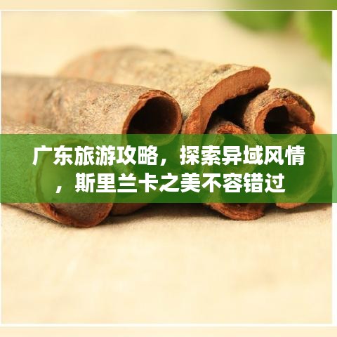 廣東旅游攻略,探索異域風(fēng)情,斯里蘭卡之美不容錯(cuò)過(guò)