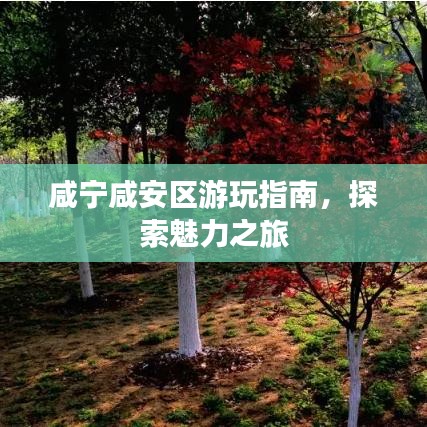 咸寧咸安區游玩指南,探索魅力之旅