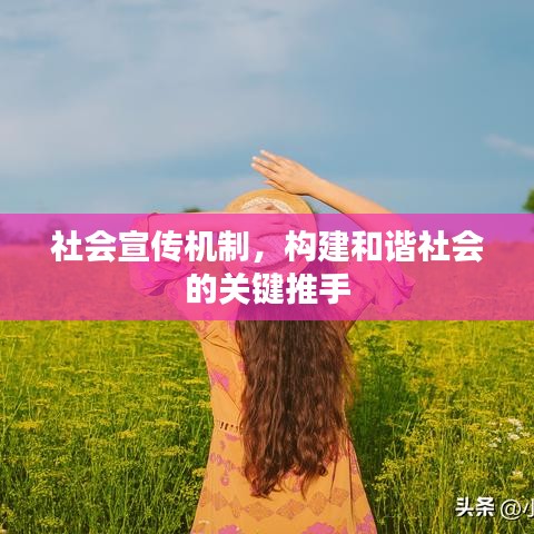 社會宣傳機制,構建和諧社會的關鍵推手