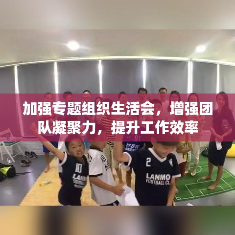 加強專題組織生活會,增強團隊凝聚力,提升工作效率