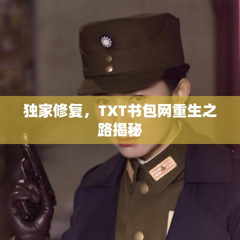 獨(dú)家修復(fù),TXT書(shū)包網(wǎng)重生之路揭秘