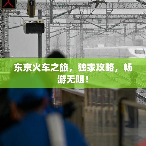 東京火車之旅,獨家攻略,暢游無阻!