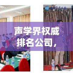 聲學界權威排名公司,引領聲學技術潮流的先鋒領航者
