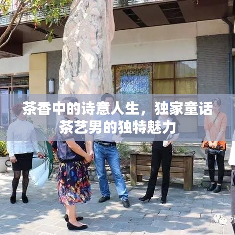 茶香中的詩意人生,獨家童話茶藝男的獨特魅力