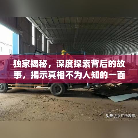 獨家揭秘,深度探索背后的故事,揭示真相不為人知的一面
