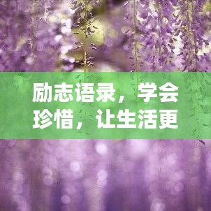 勵志語錄,學會珍惜,讓生活更美好