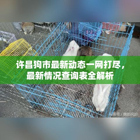 許昌狗市最新動態一網打盡,最新情況查詢表全解析