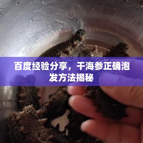 百度經(jīng)驗(yàn)分享,干海參正確泡發(fā)方法揭秘