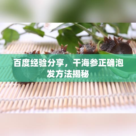 百度經(jīng)驗(yàn)分享,干海參正確泡發(fā)方法揭秘