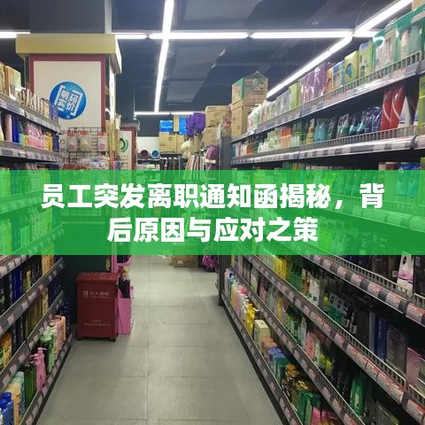 員工突發(fā)離職通知函揭秘，背后原因與應(yīng)對之策