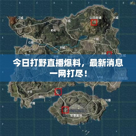 今日打野直播爆料,最新消息一網(wǎng)打盡!