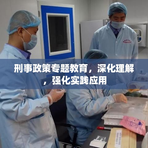 刑事政策專題教育,深化理解,強化實踐應用