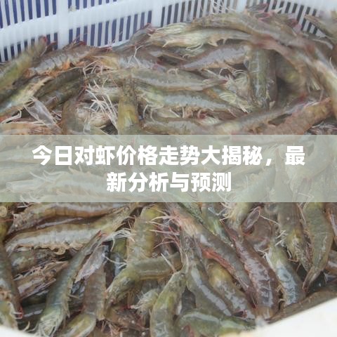 今日對蝦價格走勢大揭秘,最新分析與預測