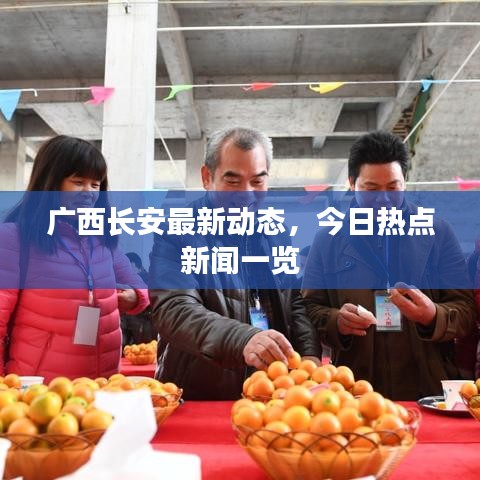 廣西長(zhǎng)安最新動(dòng)態(tài),今日熱點(diǎn)新聞一覽