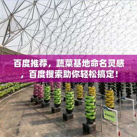 百度推薦,蔬菜基地命名靈感,百度搜索助你輕松搞定!