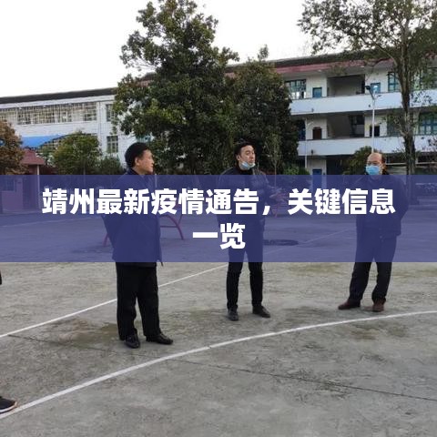 靖州最新疫情通告,關鍵信息一覽