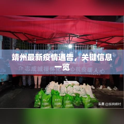 靖州最新疫情通告,關鍵信息一覽
