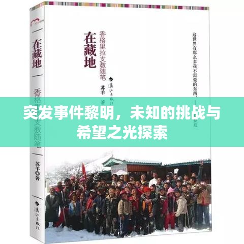 突發事件黎明,未知的挑戰與希望之光探索