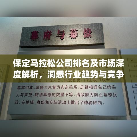 保定馬拉松公司排名及市場深度解析,洞悉行業(yè)趨勢與競爭格局