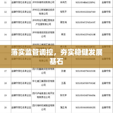 落實監(jiān)管調(diào)控,夯實穩(wěn)健發(fā)展基石