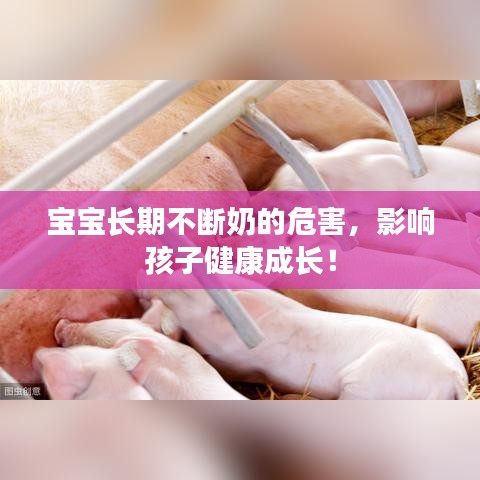 寶寶長期不斷奶的危害，影響孩子健康成長！