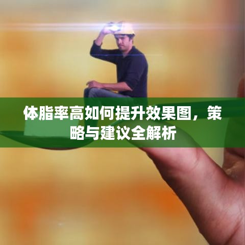 體脂率高如何提升效果圖，策略與建議全解析