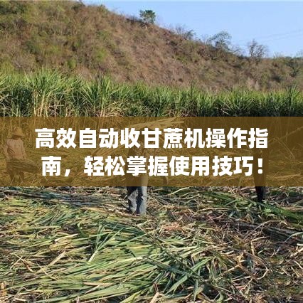高效自動收甘蔗機操作指南,輕松掌握使用技巧!
